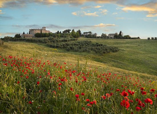 italy/val-d-orcia/landmark/castello-di-cosona