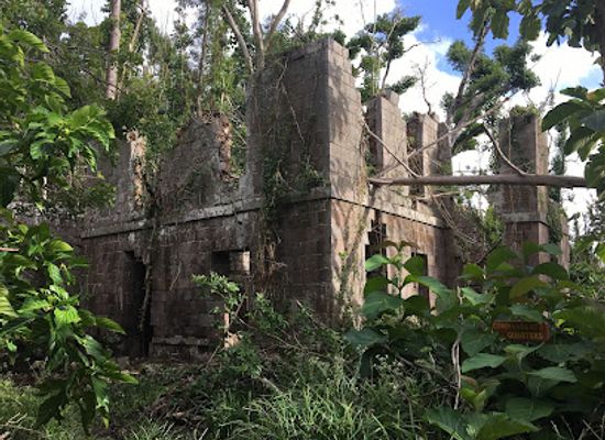 dominica/saint-mark/landmark/cabrits-national-park