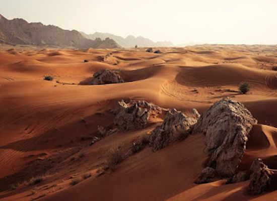 united-arab-emirates/dubai-desert-conservation-reserve/landmark/desert-safari-dubai