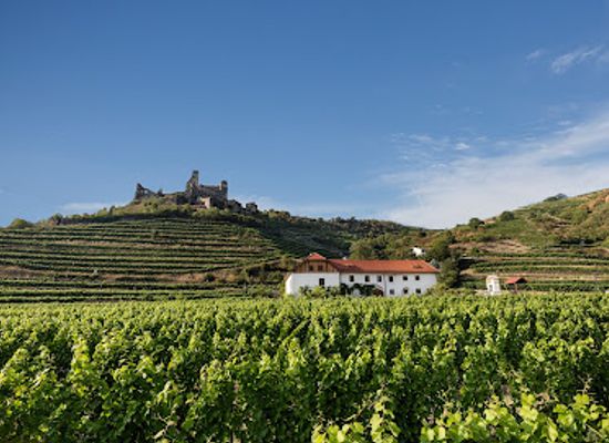 austria/thermenregion/landmark/winery-nigl