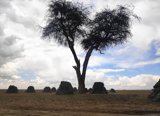 kenya/laikipia-plateau/landmark/equator-marker
