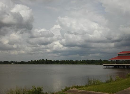 arkansas/timberlands/landmark/saracen-landing