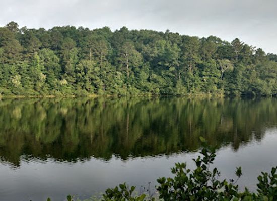 tennessee/hatchie-river-area/landmark/big-hill-pond-state-park