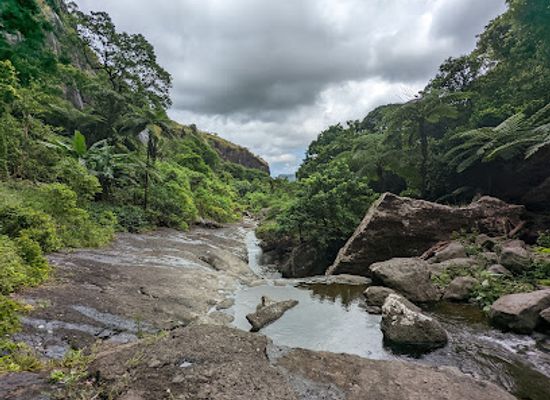 fiji/sigatoka/landmark/koroyanitu-national-park