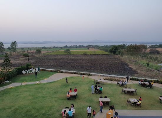 india/nashik/landmark/york-winery-tasting-room