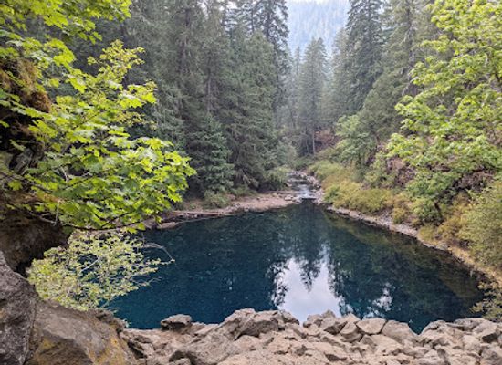 oregon/umpqua-valley/landmark/tamolitch-falls-blue-pool