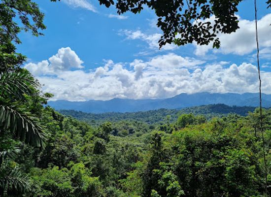costa-rica/limon/landmark/veragua-rainforest