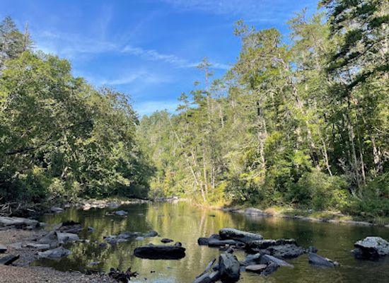 south-carolina/sandhills/landmark/licklog-falls-and-pigpen-falls