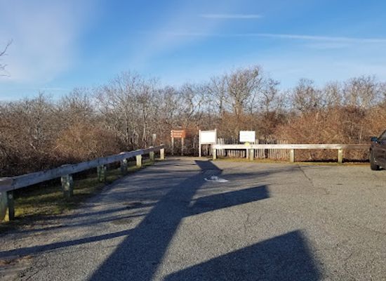 new-york/montauk/landmark/hither-woods-preserve
