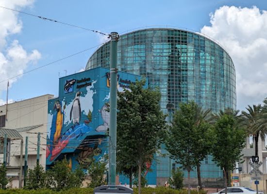 louisiana/greater-new-orleans/landmark/audubon-aquarium