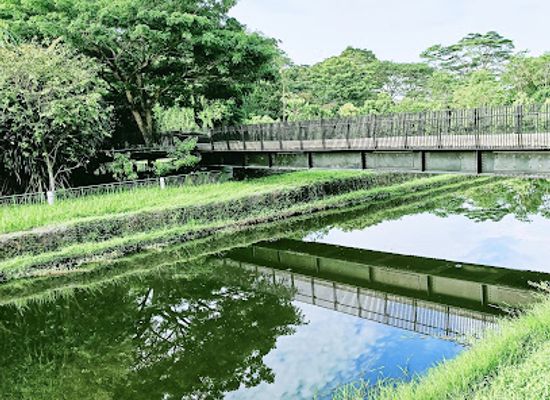 singapore/yishun/landmark/springleaf-nature-park