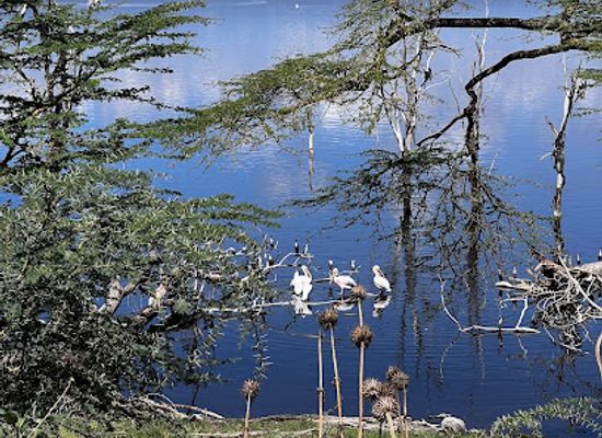 kenya/nairobi/landmark/rustic-nature-tours