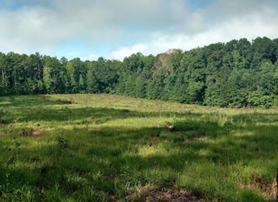 alabama/shoals/landmark/pickett-s-mill-battlefield-state-historic-site