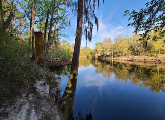 florida/suwannee-river/landmark/suwannee-springs
