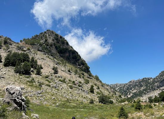 lebanon/jbeil/landmark/el-dichar-ehmej-nature-reserve