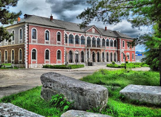 montenegro/niksic-field/landmark/dvorac-kralja-nikole-i-petrovica