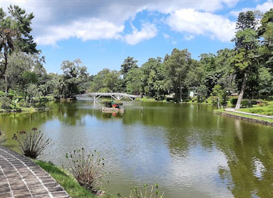 india/shillong/landmark/ward-s-lake