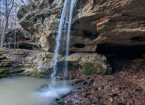 illinois/ferne-clyffe-state-park/landmark/red-cedar-hiking-trail-red-cedar-falls