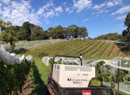 australia/yarra-valley/landmark/kellybrook-winery