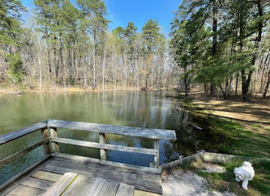 indiana/hoosier-national-forest/landmark/martin-state-forest