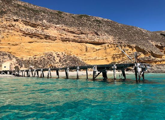 australia/yorke-peninsula/landmark/marion-bay-ocean-safari