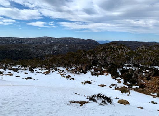 australia/mount-field-national-park/landmark/mount-mawson