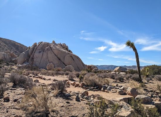 california/joshua-tree-national-park/landmark/oasis-of-mara-nature-trail-trailhead