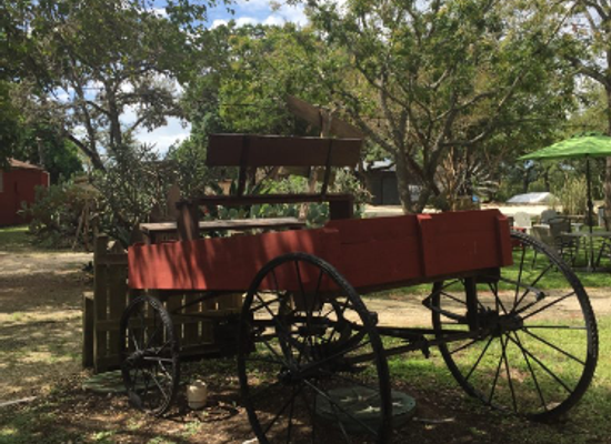 texas/south-texas/landmark/historic-downtown-helotes