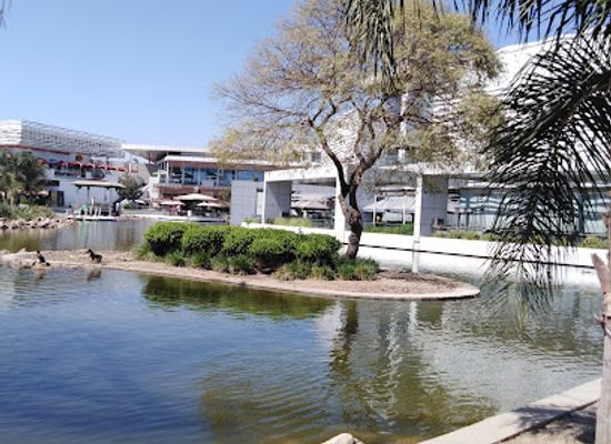 chile/los-rios-region/landmark/sky-costanera
