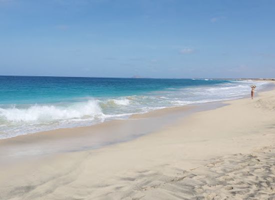 cabo-verde/praia-de-carlota/landmark/projeto-biodiversidade