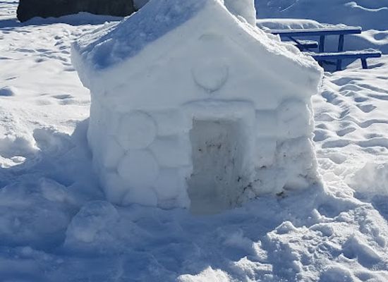 minnesota/ely/landmark/ely-winter-festival