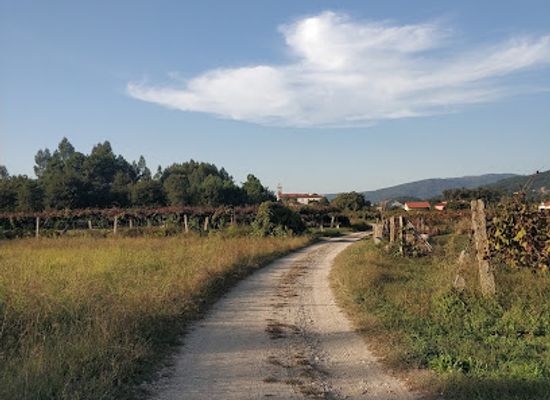 portugal/ponte-de-lima/landmark/caminho-portugues-de-santiago-ponte-de-lima