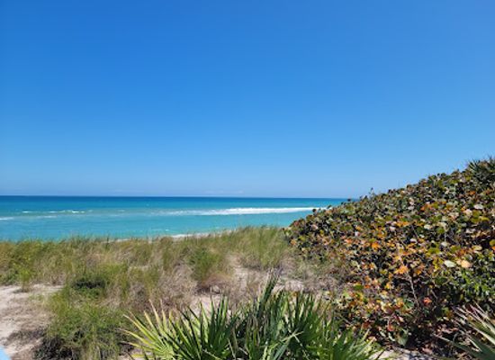 florida/nature-coast/landmark/barrier-island-sanctuary