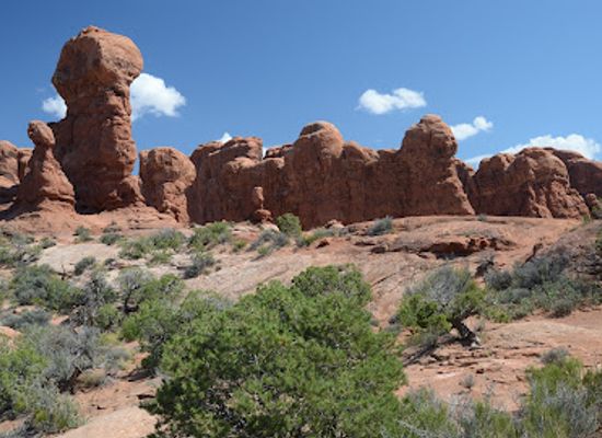 utah/canyonlands/landmark/petrified-dunes