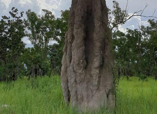 australia/litchfield-national-park/landmark/nt-adventure-park
