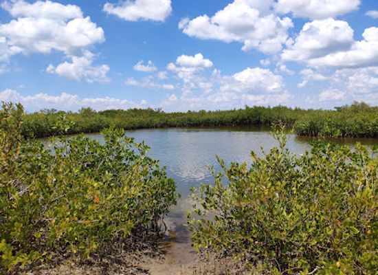 florida/sun-coast/landmark/terra-ceia-preserve-state-park