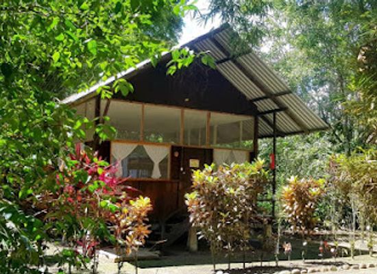 ecuador/oriente/landmark/anaconda-lodge-ecuador