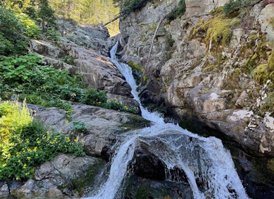 montana/glacier-national-park/landmark/aster-falls