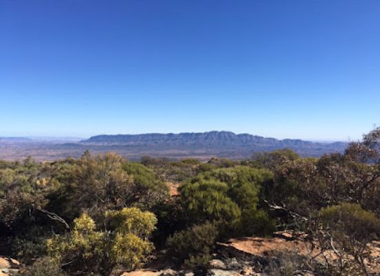 australia/south-australia/landmark/rawnsley-bluff