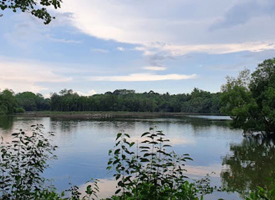 singapore/sungei-buloh-wetland-reserve/landmark/sungei-buloh-wetland-reserve-wetland-centre
