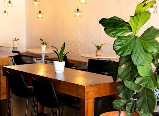 texas/mcallen/landmark/maria-cruz-plant-based-cuisine