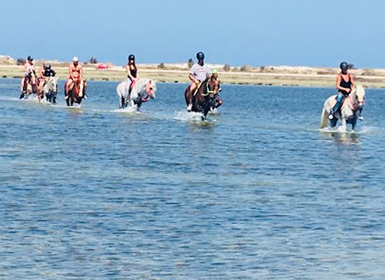 tunisia/djerba/landmark/ranch-adada-djerba