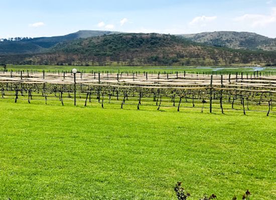south-africa/drakensberg-mountains/landmark/cathedral-peak-wine-estate