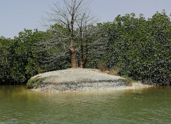 senegal/mbour/landmark/lagune-de-la-somone