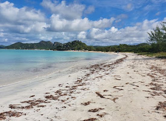 antigua-and-barbuda/valley-church-beach/landmark/wild-lotus-camp-valley-church-beach