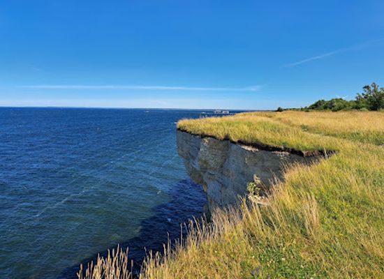 estonia/estonian-islands/landmark/pakri-cliff