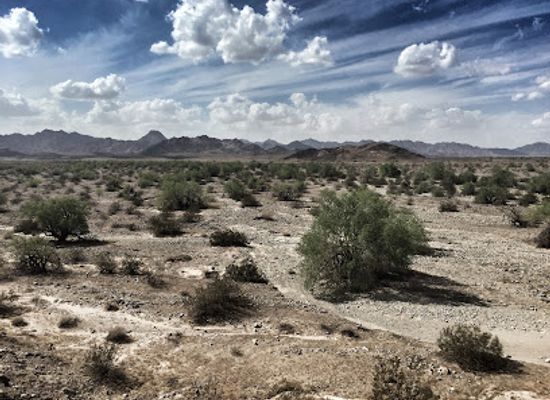 california/colorado-desert/landmark/blythe-intaglios
