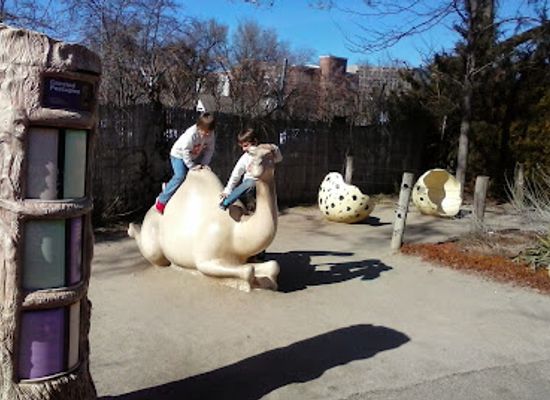 idaho/treasure-valley/landmark/zoo-boise