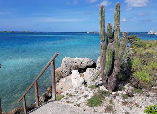aruba/pos-chiquito/landmark/marina-pirata-restaurant