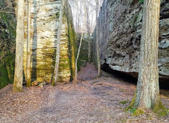 illinois/illinois-ozarks/landmark/panther-den-wilderness